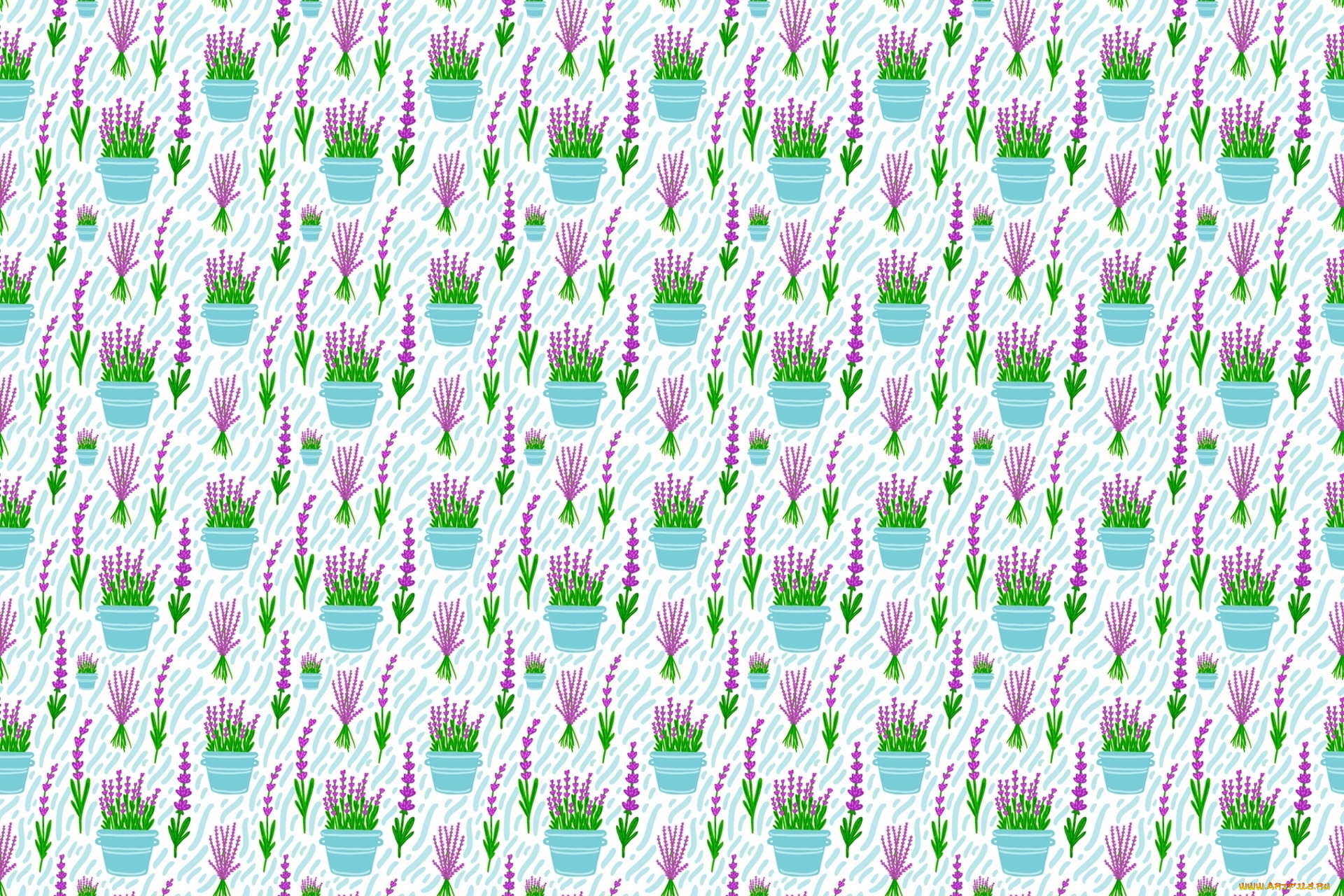  ,  , flowers, , , 